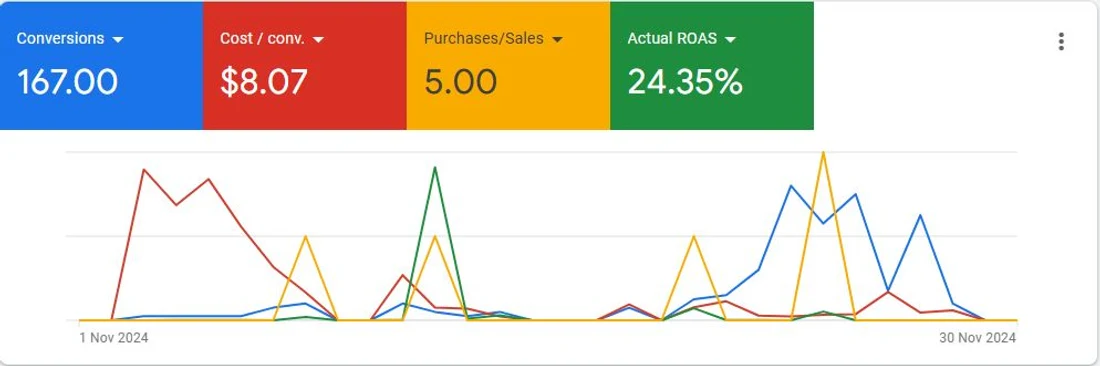 Google Ads panel for November 2024 showing 167 conversions, $8.07 cost per conversion, 5 sales and 24.35% ROAS
